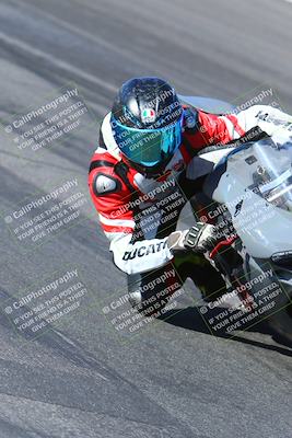 media/Jan-14-2024-SoCal Trackdays (Sun) [[2e55ec21a6]]/Turn 12 Inside (945am)/